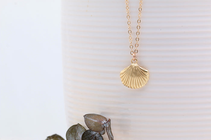 Scallop Shell Necklace