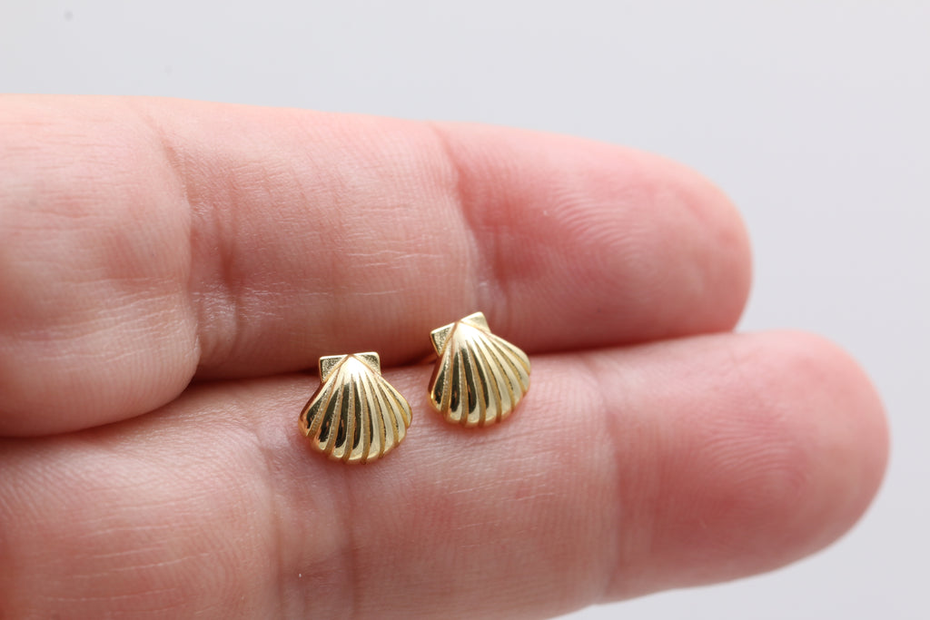 Scallop Shell Studs