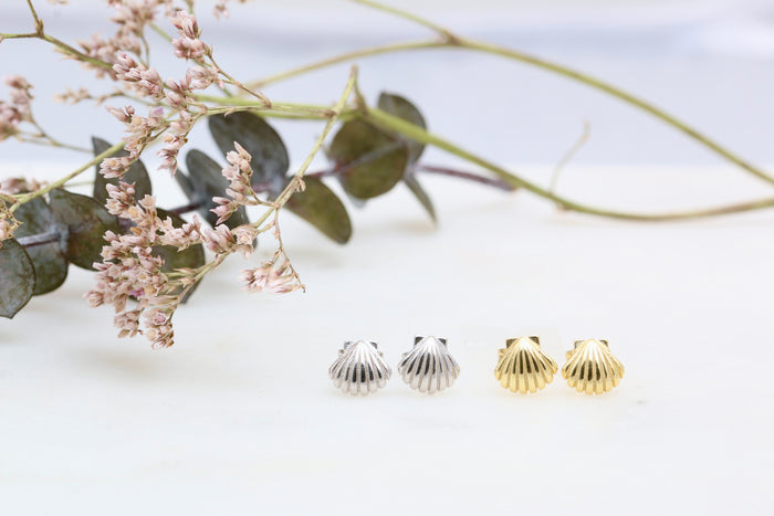 Scallop Shell Studs