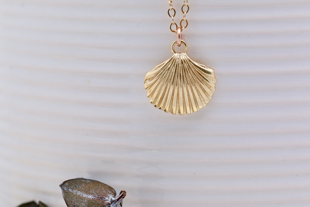 Scallop Shell Necklace