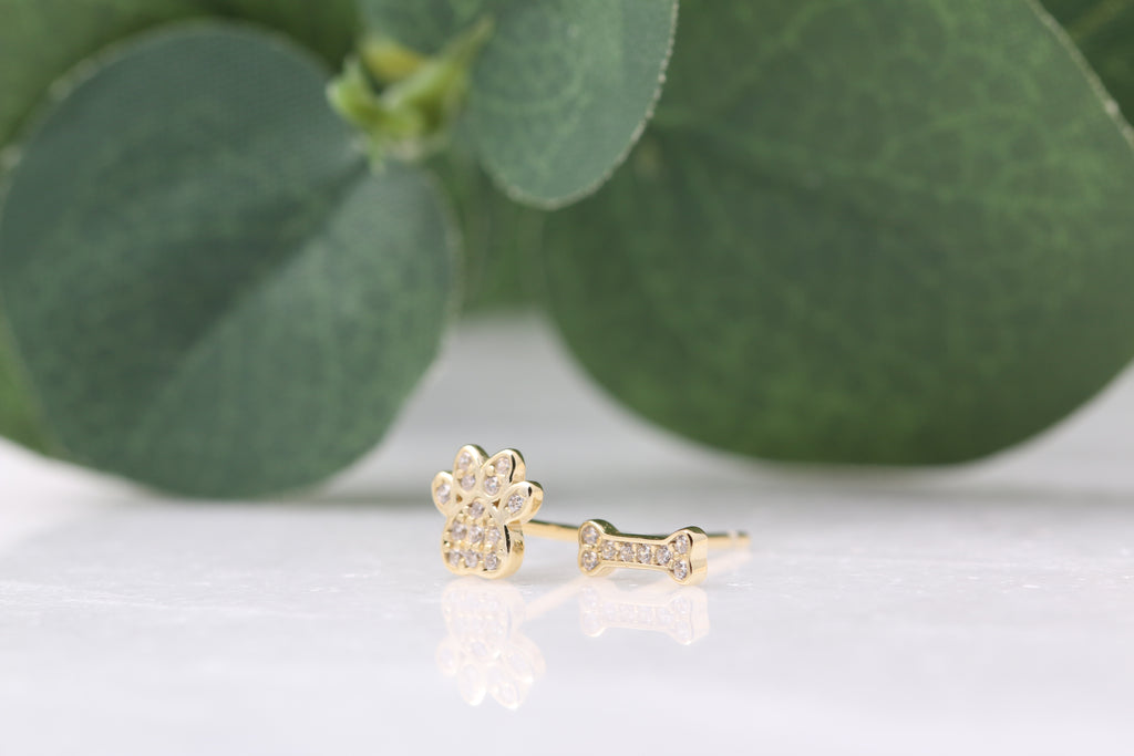 CZ Dog Paw & Bone