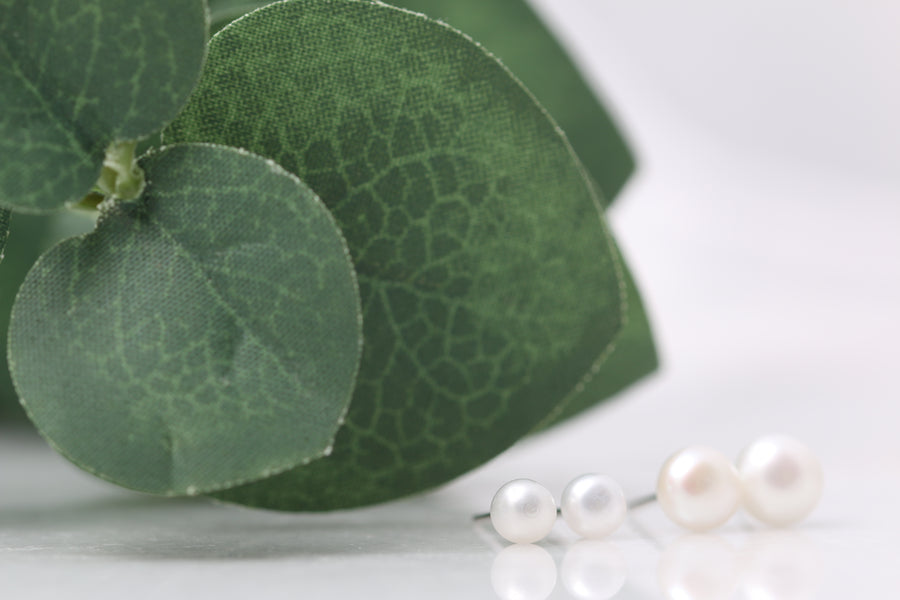 Fresh Water Pearl Studs