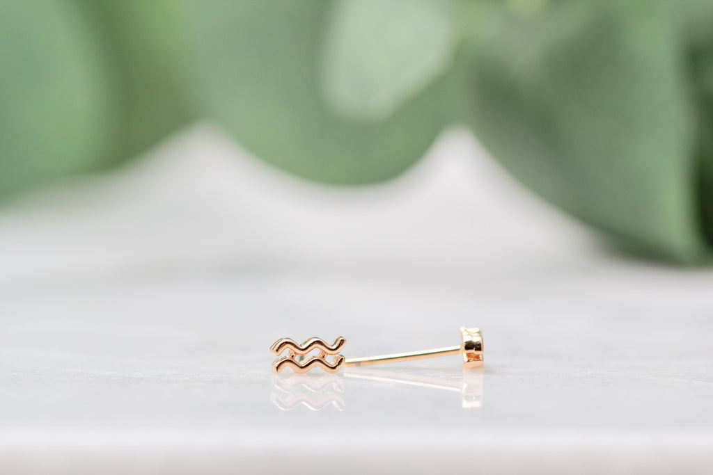 Gold Filled Zodiac Studs