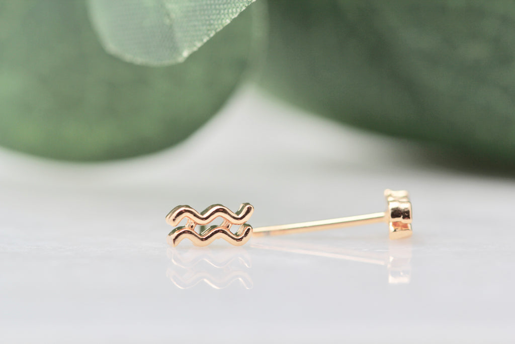 Gold Filled Zodiac Studs